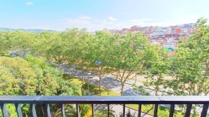 Vistas